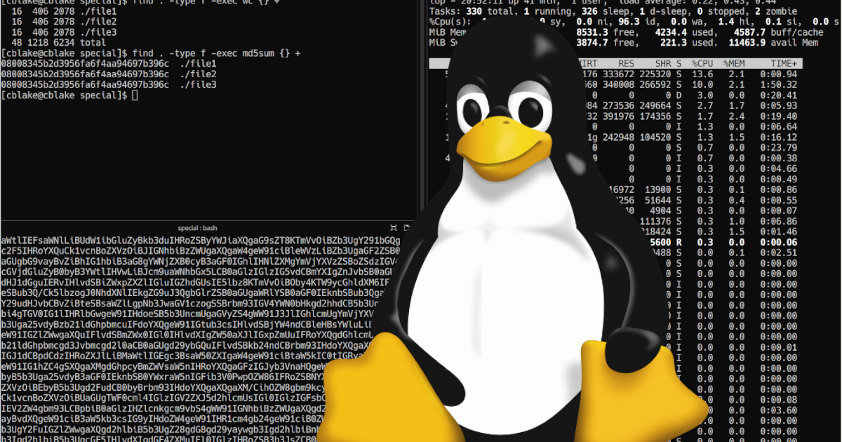 The logo for this HackTheBox challenge.